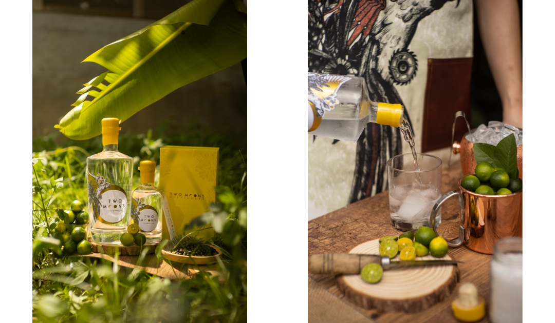Two Moons Distillery – Locally-Made Premium Craft Gin – CIS Alumni Connect